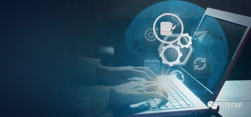 玩轉erp 如果要做一個開發顧問